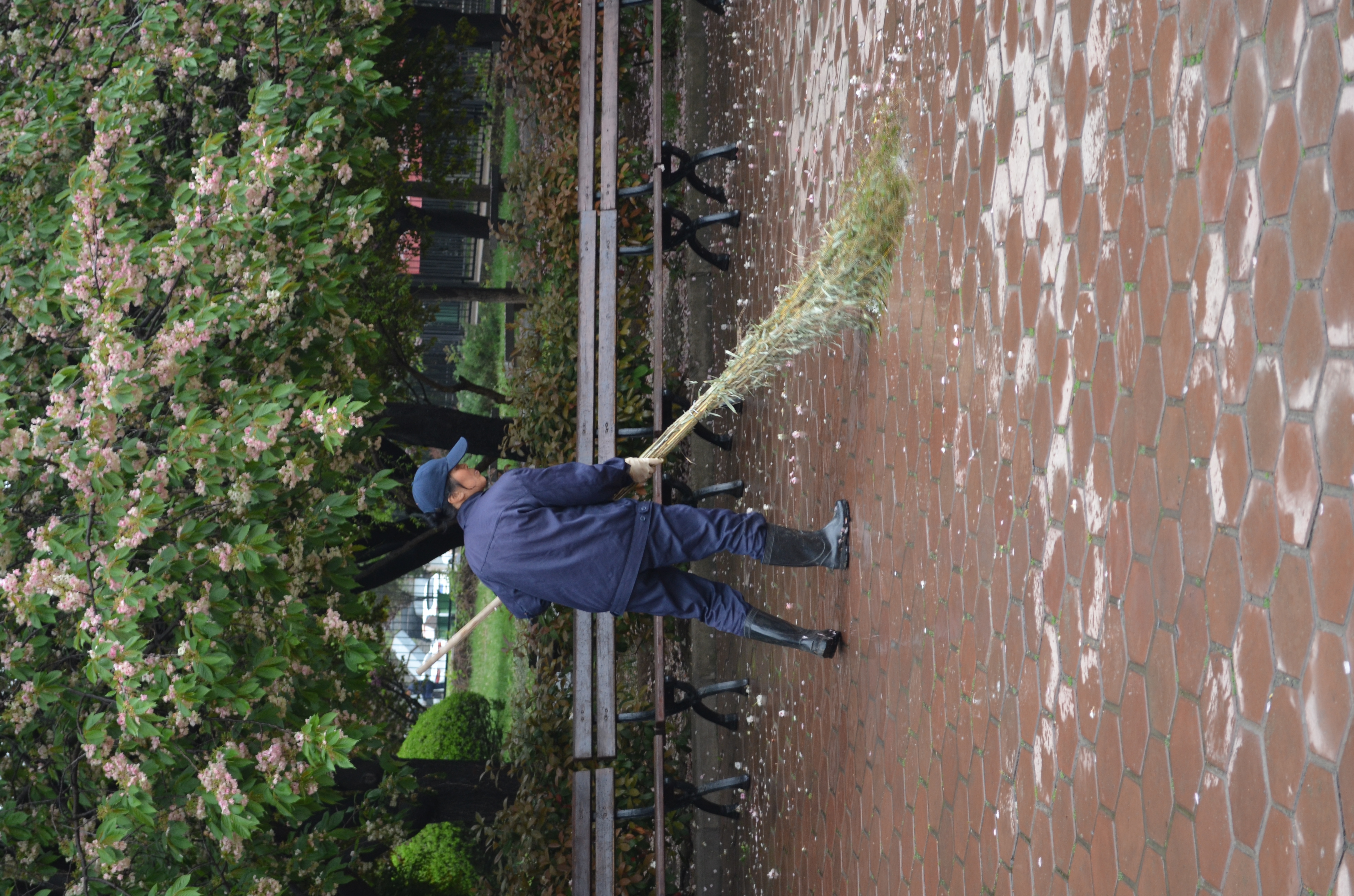 ./2018/03 - Viking China/12 - Terracotta Army/DSC_0449.JPG